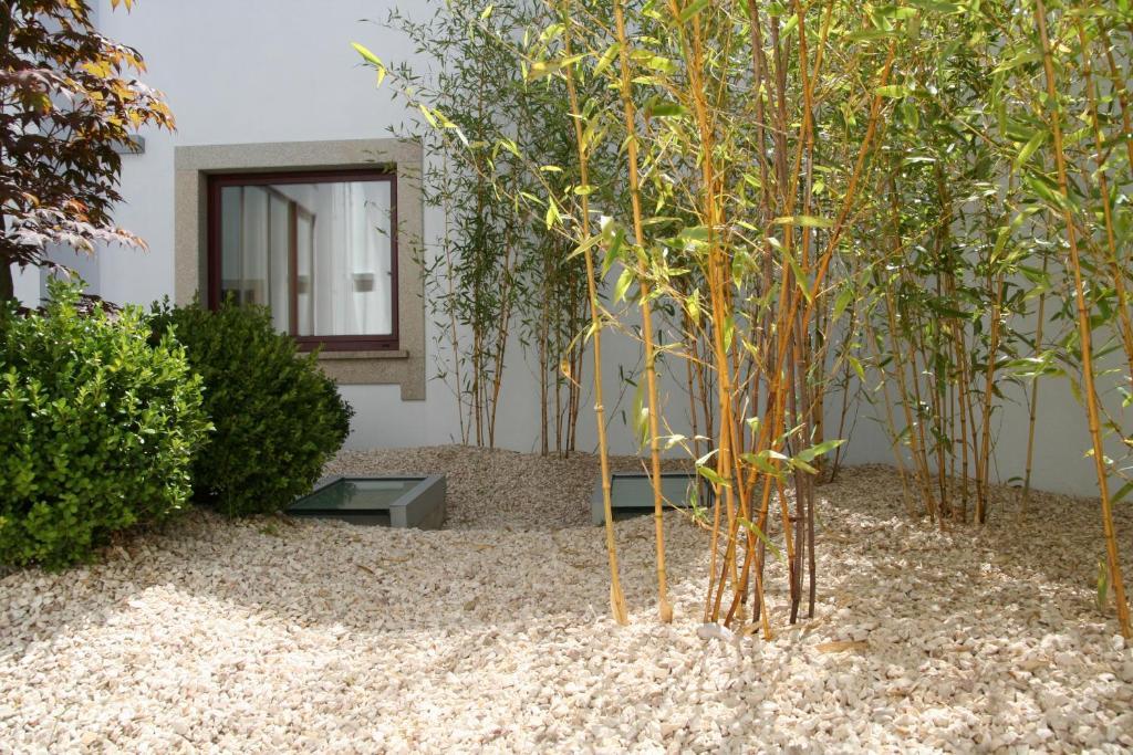 Santo Thyrso Hotel Santo Tirso Εξωτερικό φωτογραφία